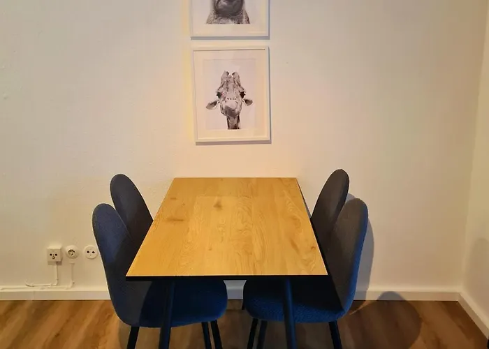Kreatives In Der Von Osnabrück